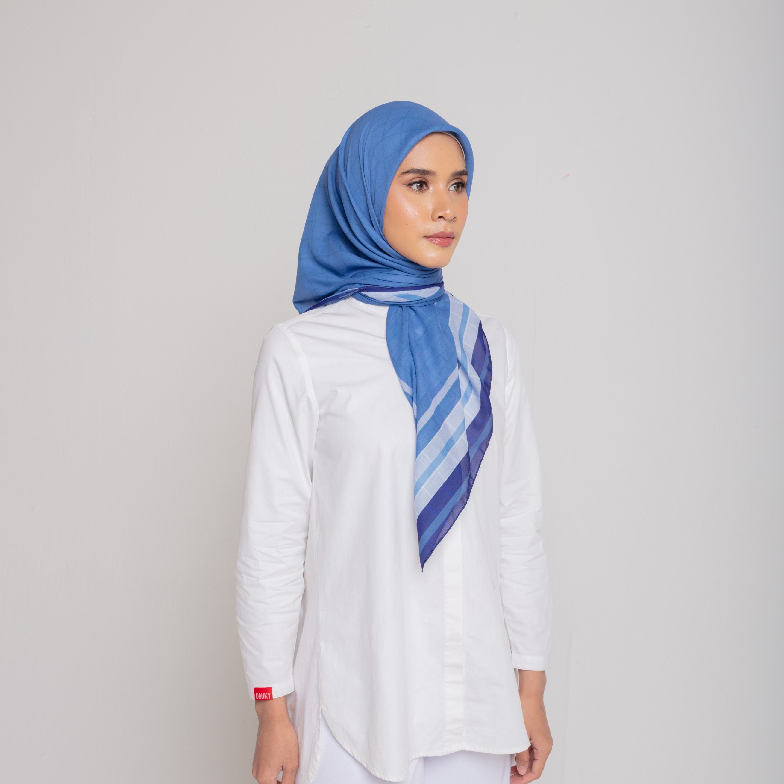 #color_biru