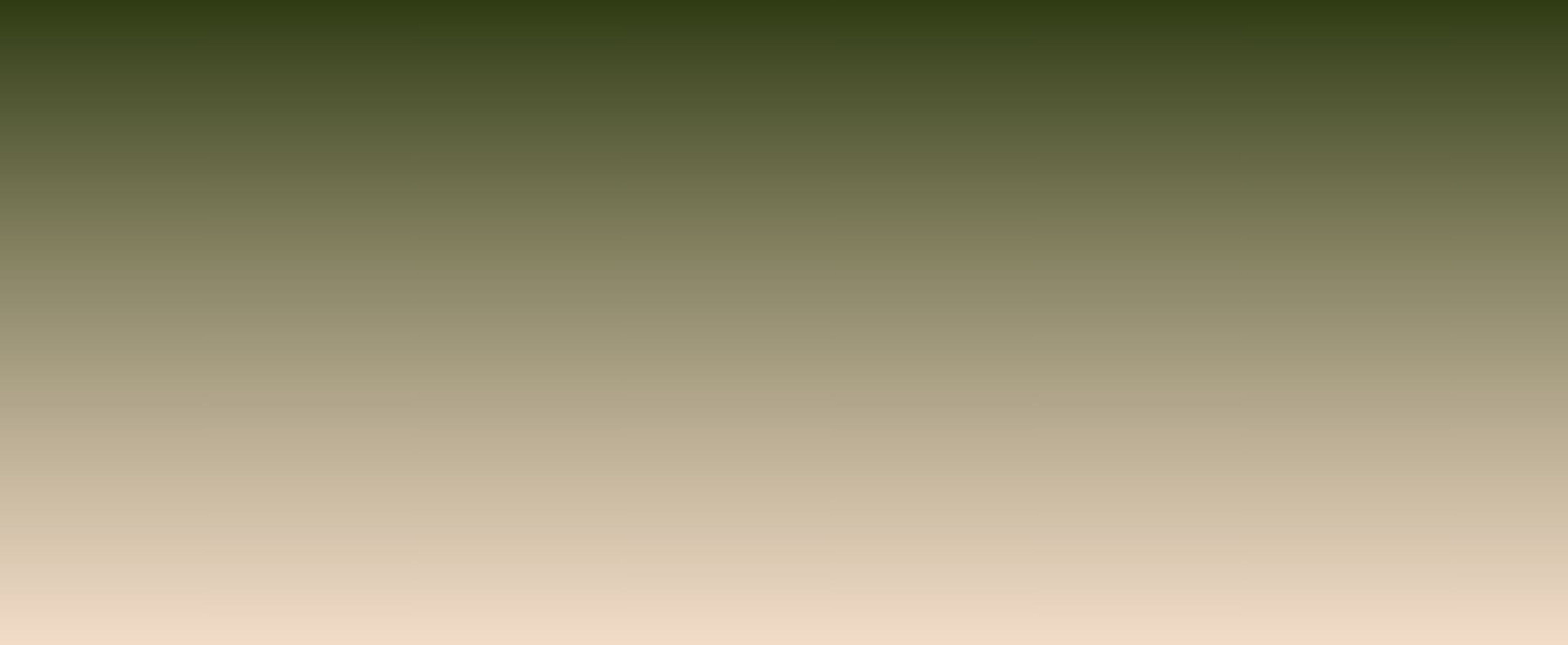 OMBRE PASHMINA A - ARMY BEIGE