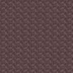 Wanderer Shore Scarf