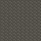 Wanderer Shore Scarf